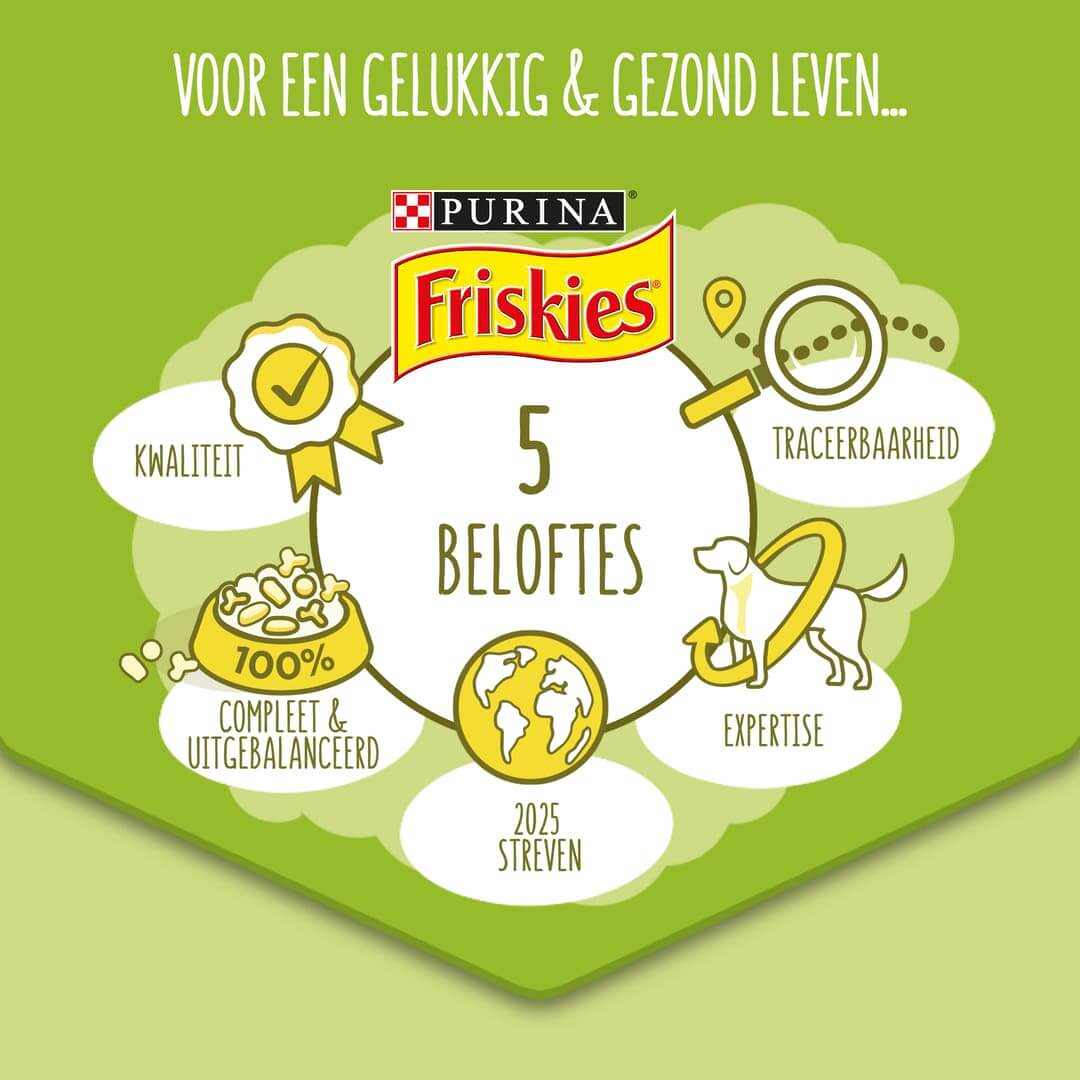 Friskies purina 2024 active 15kg